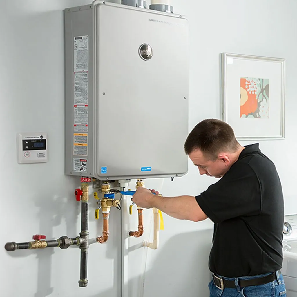 tankless water heater repair in Hallam, NE